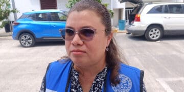 Van 2 mil 500 huevos de tortuga resguardados en Solidaridad este año