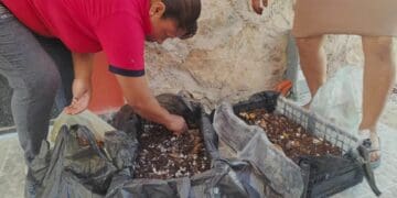 Impulsan huertos orgánicos de autoconsumo y comercialización