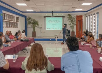 Alistan estrategia para mejorar el manejo y el aprovechamiento del sargazo en Quintana Roo