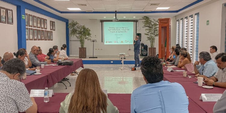 Alistan estrategia para mejorar el manejo y el aprovechamiento del sargazo en Quintana Roo