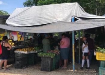 Ambulantes han invadido parques y hasta juegos infantiles en Villas del Sol; exigen su reubicación