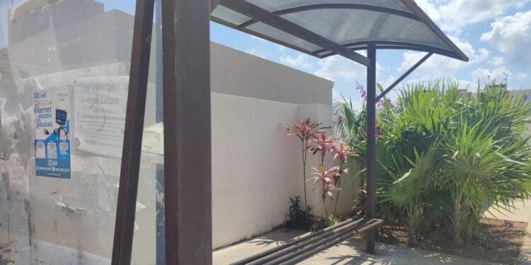 Propone regidor construir paraderos de transporte público con wi-fi y cámaras