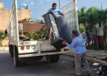 Combatir el dengue es trabajo de todos