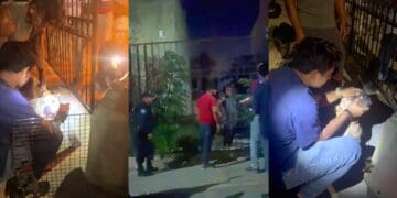 Cero tolerancia al maltrato animal en Solidaridad