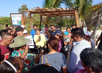 Congelan certificación Blue Flag para playa de la 72, a petición de comunidad que busca espacio 'pet friendly'