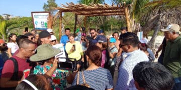 Congelan certificación Blue Flag para playa de la 72, a petición de comunidad que busca espacio 'pet friendly'