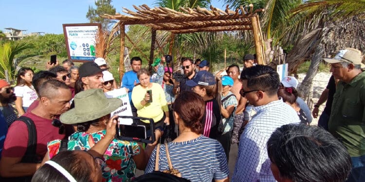 Congelan certificación Blue Flag para playa de la 72, a petición de comunidad que busca espacio 'pet friendly'