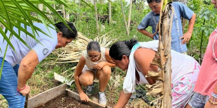 Gobierno municipal invita a producir sus propios alimentos, con huertos orgánicos