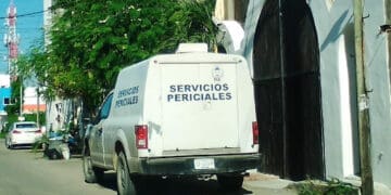 Hallan cuerpo de un joven ahorcado en la colonia Luis Donaldo Colosio de Playa del Carmen