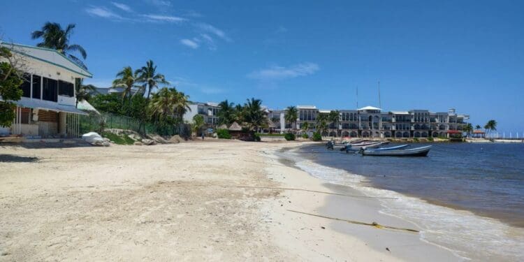 Pescadores y prestadores de servicios, a favor de que El Recodo sea pet friendly