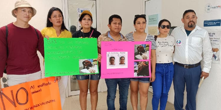 Piden activistas cárcel para presuntas culpables de quemar a perrito Valentín en Playa del Carmen