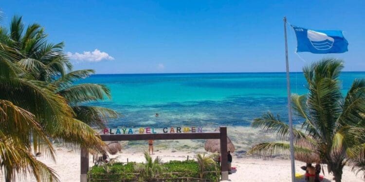 Playa del Carmen estará limpia y libre de sargazo durante el verano