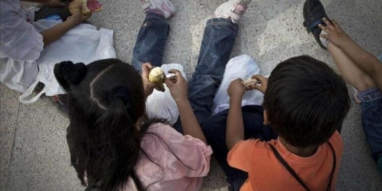 Playa del Carmen tendrá la primera ruta de protección de menores en el estado, confirma Lili Campos