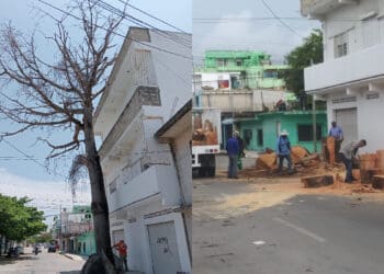 Talan ceiba en Playa del Carmen, por poner en riesgo una vivienda
