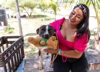 En Solidaridad se da trato digno y se promueve la adopción canina
