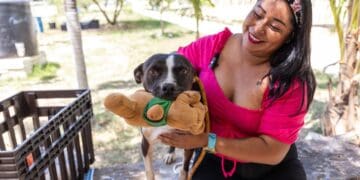 En Solidaridad se da trato digno y se promueve la adopción canina