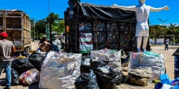 Solidaridad impulsa acciones para preservar el medio ambiente