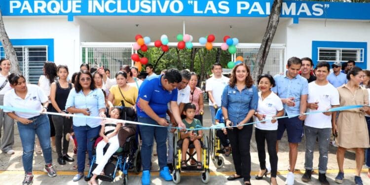 Renueva gobierno de Solidaridad Parque Inclusivo, en Palmas I