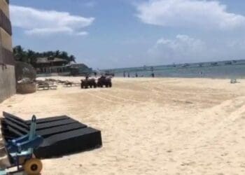 Blue Flag o Pet Friendly: Ciudadanos decidirán el futuro de la costa de la 72 en Playa del Carmen