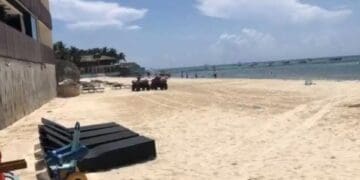 Blue Flag o Pet Friendly: Ciudadanos decidirán el futuro de la costa de la 72 en Playa del Carmen