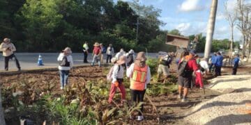 Gobierno municipal reforesta camellón de la carretera federal