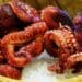 Pescadores de Playa del Carmen no cuentan con permisos para captura masiva de pulpo