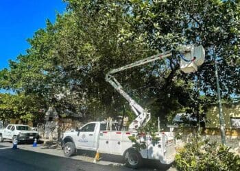 Realizan poda de árboles por temporada de lluvias