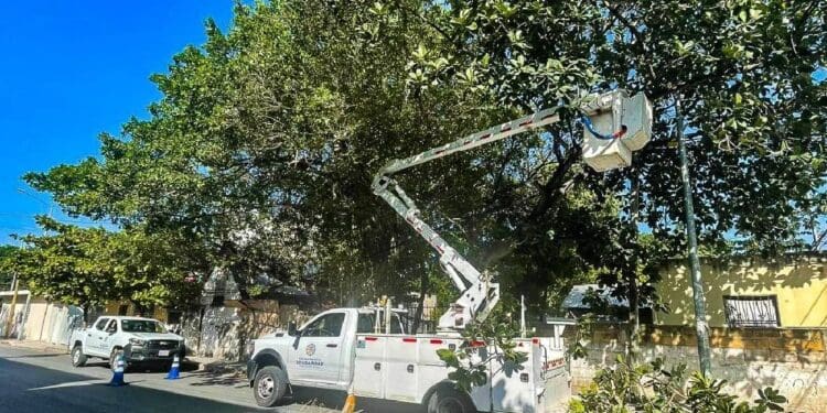Realizan poda de árboles por temporada de lluvias