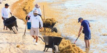 Acciones de medio ambiente a favor de locales, visitantes y turistas