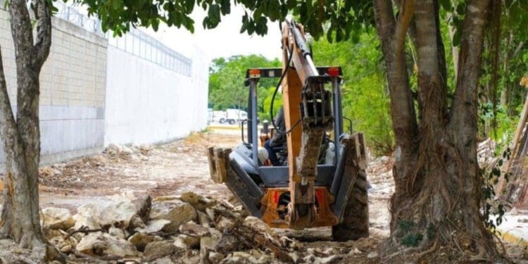 Colegio de Arquitectos recomienda actualizar el PDU y el reglamento de construcción en Playa del Carmen