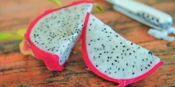 Habrá muestra gastronómica con platillos y bebidas con pitahaya este 16 de septiembre en Playa del Carmen