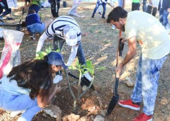 Son restauradas áreas verdes en Villas del Sol