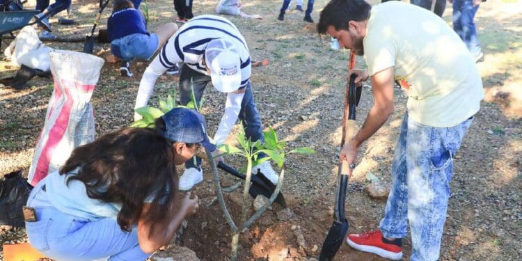 Son restauradas áreas verdes en Villas del Sol