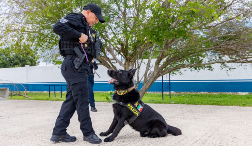 Binomios caninos refuerzan la seguridad en Solidaridad
