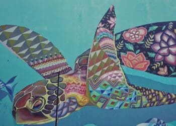 Buscan crear en Playa del Carmen la galería de arte urbano más grande del mundo