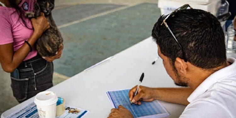 Realizan por primera vez, censo canino y felino en Solidaridad