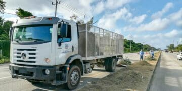 Mantienen carreteras limpias en Solidaridad
