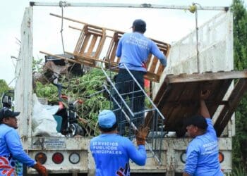 En descenso, casos de dengue en Solidaridad