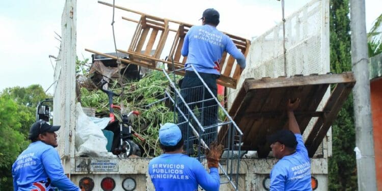 En descenso, casos de dengue en Solidaridad