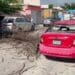 Árbol podrido cae encima de un auto particular y un taxi en Playa del Carmen