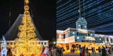 Solidaridad brilla con el tradicional encendido del árbol navideño