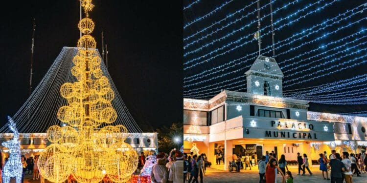 Solidaridad brilla con el tradicional encendido del árbol navideño
