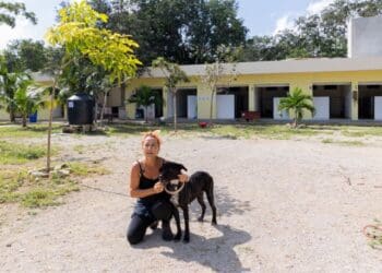 Atención integral a mascotas en Solidaridad