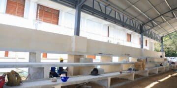 Constata Lili Campos avances en renovación de parque y domo