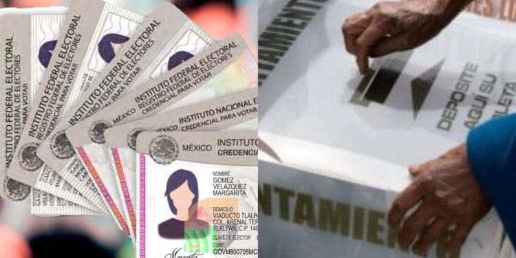 Si quieres votar en 2024, tienes hasta el 22 de enero para tramitar tu credencial de elector