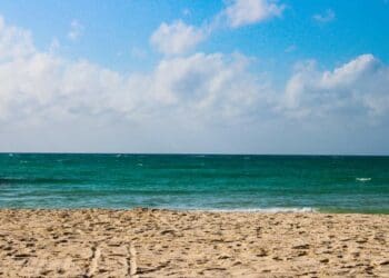 Visita las costas de Playa del Carmen que quedaron aún más limpias gracias al frente frío 31