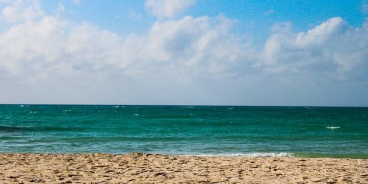Visita las costas de Playa del Carmen que quedaron aún más limpias gracias al frente frío 31