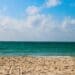 Visita las costas de Playa del Carmen que quedaron aún más limpias gracias al frente frío 31