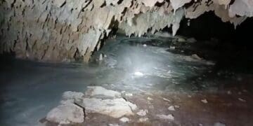 Denuncian ambientalistas derrame de cemento en cuevas por las obras del Tren Maya