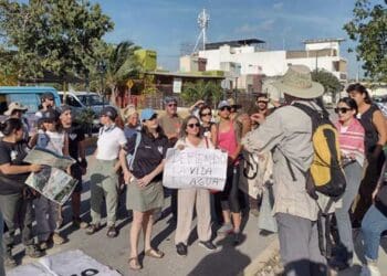 Inauguración del Tren Maya es ilegal, denuncian ambientalistas